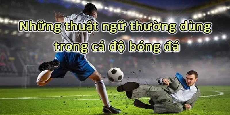 Các thuật ngữ cá độ bóng đá kèo châu âu Các thuật ngữ cá độ bóng đá kèo châu âu